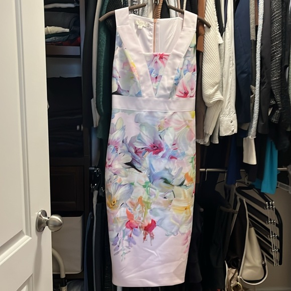 Ted Baker Arienne Hanging Gardens Dress TB size 1 - Picture 4 of 5